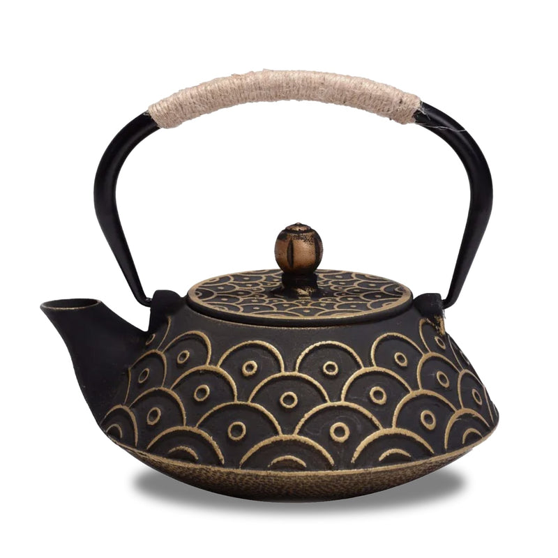 Japanese old cast iron teapot