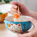 Japanese cat bowl