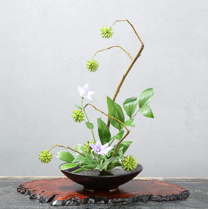 Ikebana vase moribana round black