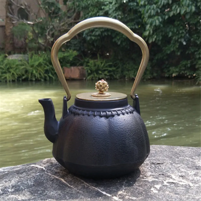 Japanese black teapot