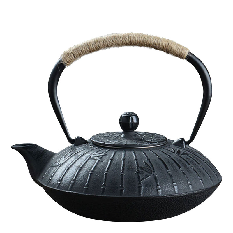 Japanese black cast iron teapot