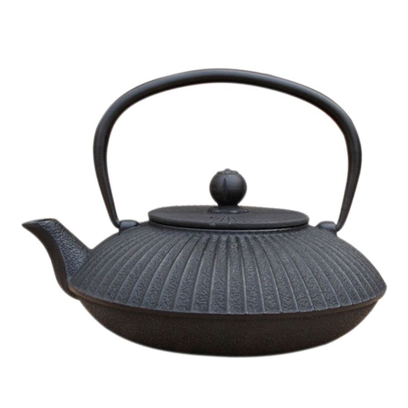 Japanese teapot in traditional cast iron