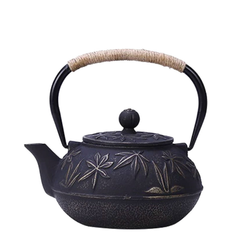 Japanese black cast iron teapot