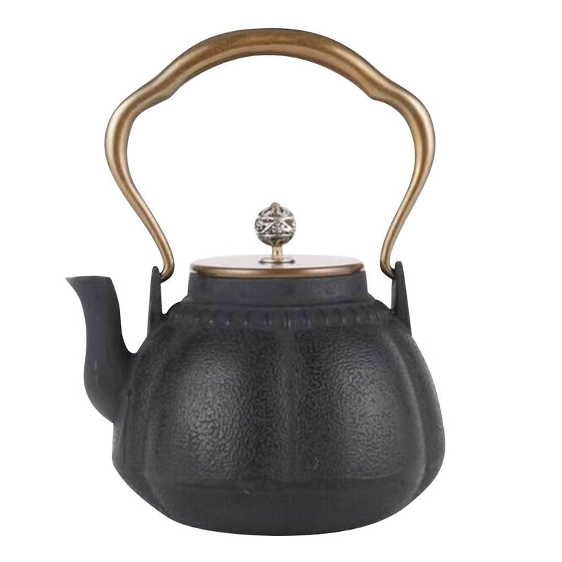 Japanese black teapot