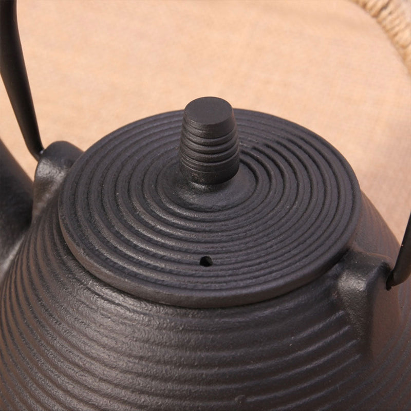 Tetsubin Japanese cast iron teapot