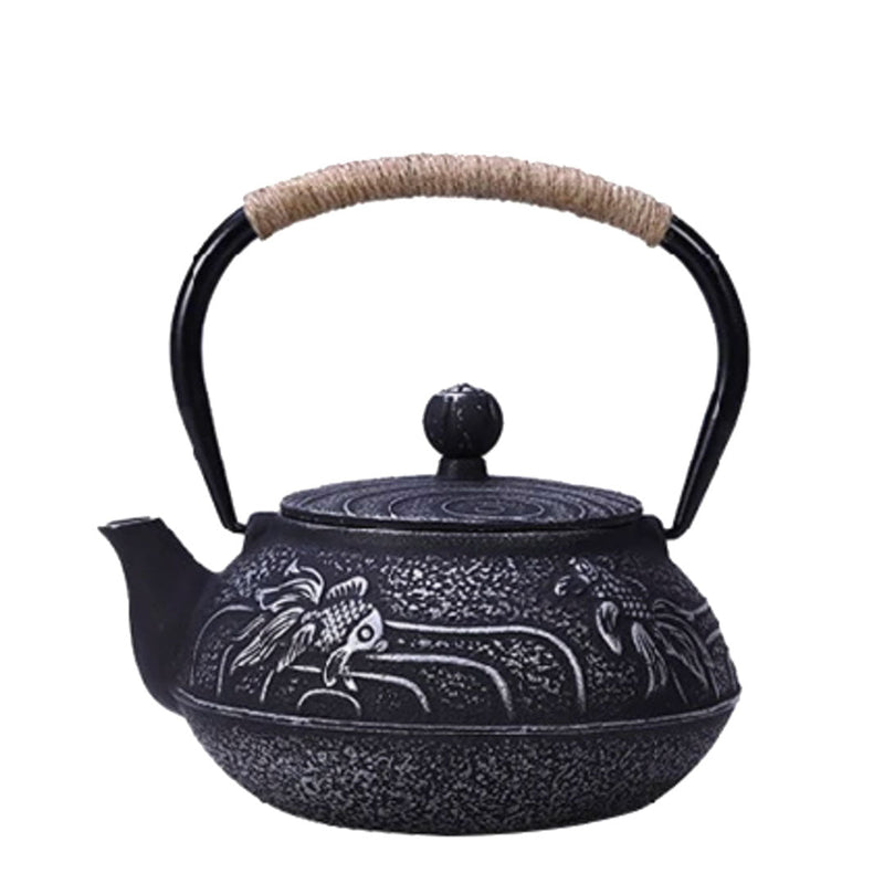 Traditional Japanese cast iron teapot