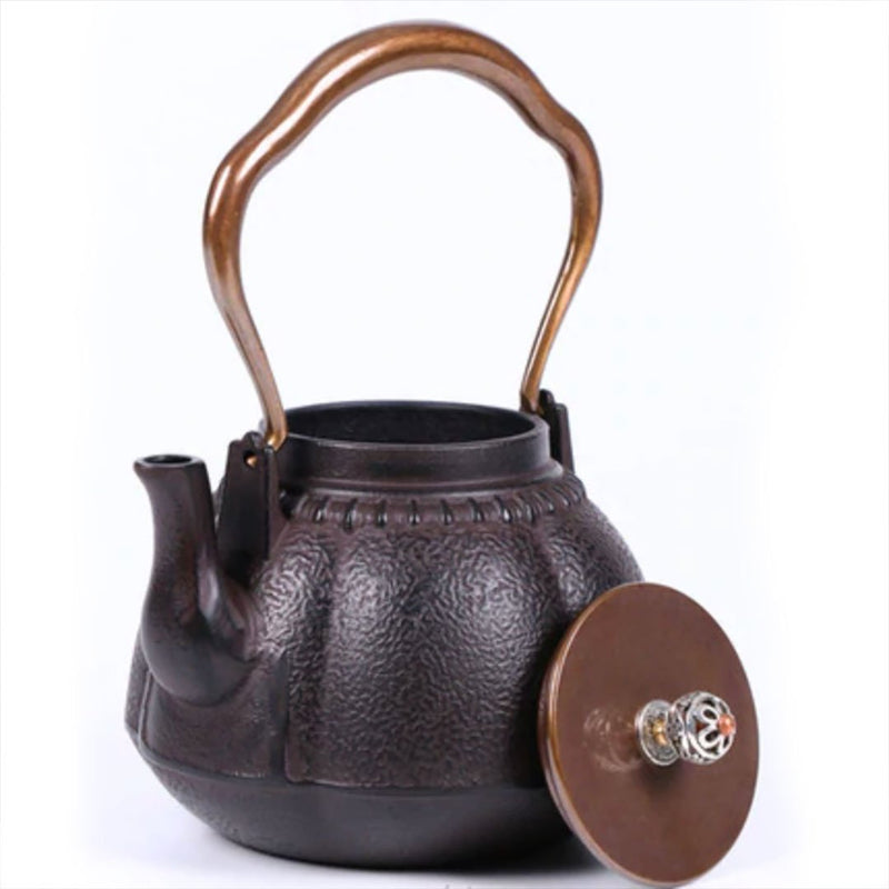 Japanese black teapot